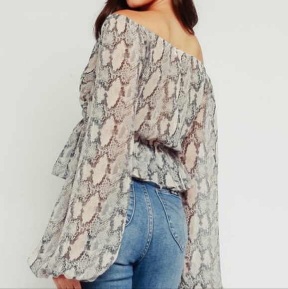 Snake Print Sheer Top - Picture 3 of 4